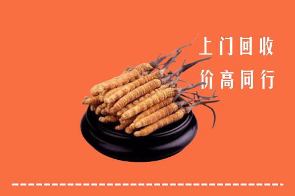 高价求购：库车市回收散虫草