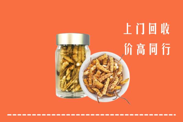 库车市回收冬虫夏草